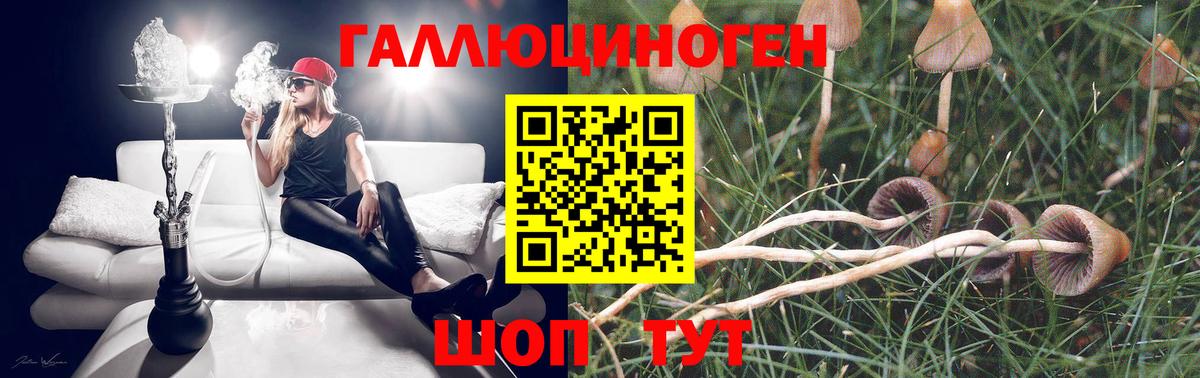 хочу   Галлюциногенные грибы Psilocybe  Вход с VPN  Галлюциногенные грибы ЛСД  Отрадный 